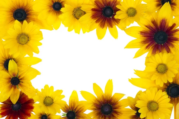 Isolated  sunflwers frame — Stock Photo, Image