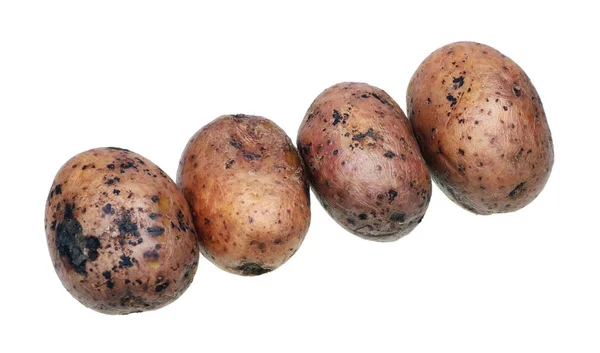 Fyra potatis, kokt tillsammans med en peel — Stockfoto