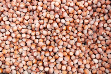 Kırmızı gerçek fındık fındık kabuğu arka planda