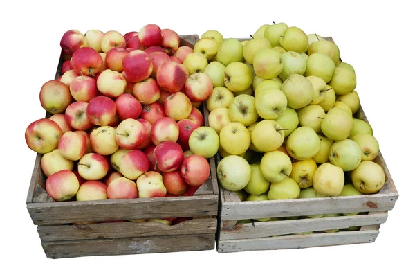 Street sale of fresh green and red apples — Stock Photo, Image