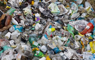 Çöp dumbp bahar Litvanyalı orman