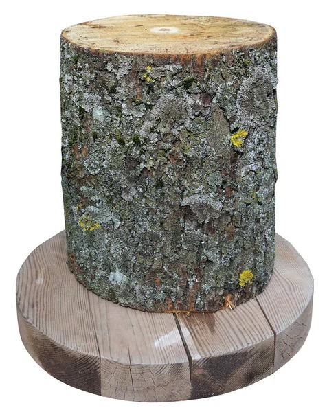 The aspen log vertically is installed on the round wooden pallet — Stock Photo, Image