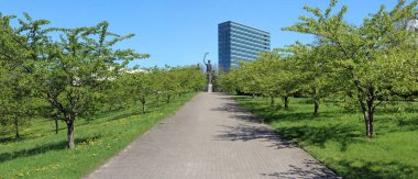 Japon kiraz ağaçlarının bahar