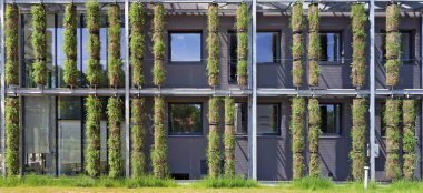 Modern ortak biyo teknoloji ısı ve ener korunması için