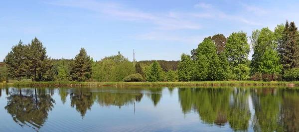 Panorama du lac forestier avec des arbres — Photo