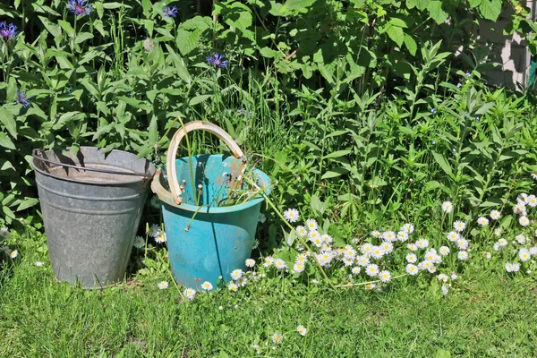Dois baldes com ervas daninhas em um jardim de cozinha . — Fotografia de Stock