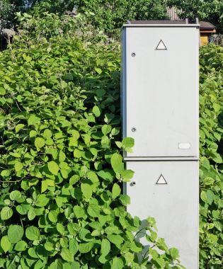 Yeşil elektrik enerji kavramı.