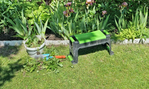 Ferramentas para remover ervas daninhas no canteiro de flores de verão — Fotografia de Stock