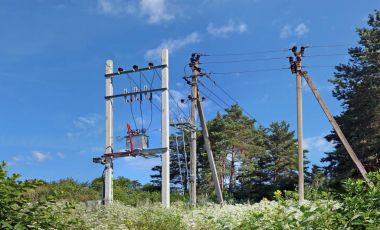 Standart seri üretim kırsal elektrik dağıtım transfo
