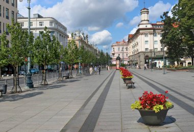 Saksı ve ıhlamur ağaçları Litvanya ca'nın ana cadde üzerinde