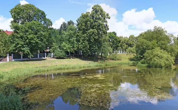 Panorama över en liten stad damm med stilla vatten. — Stockfoto