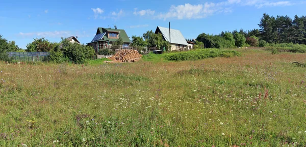 Um prado florido típico lituano de verão — Fotografia de Stock
