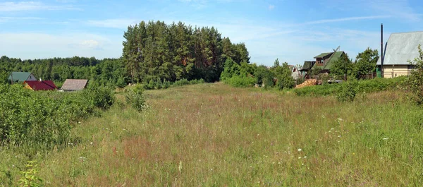 Типовий Литовська липня трав'янистих цвітіння луг — стокове фото