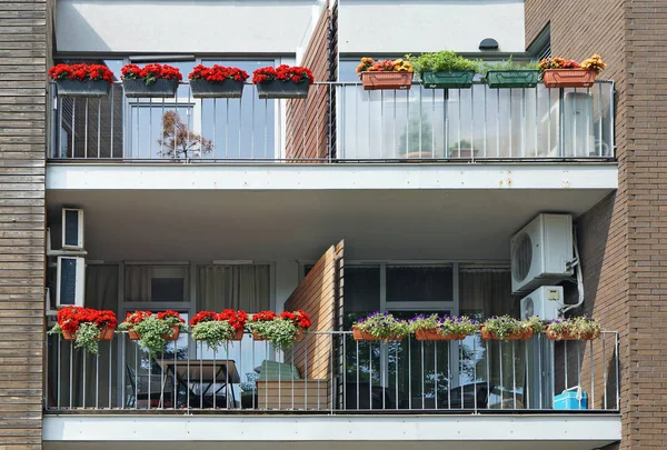 Balcons avec pots de fleurs d'été — Photo