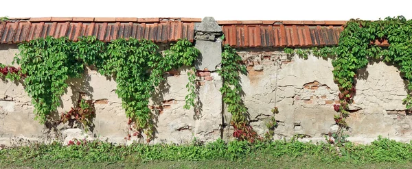 Un lungo frammento di un vecchio recinto del monastero in mattoni . — Foto Stock