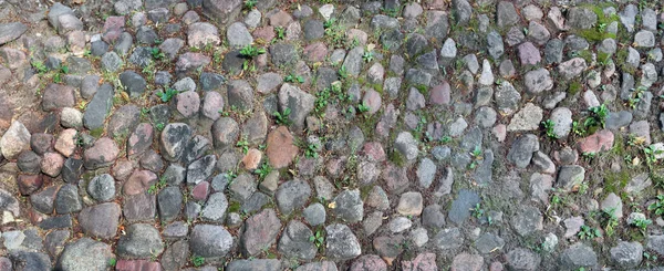 Le côté ensoleillé de la colline est fortifié avec des pierres de granit et — Photo