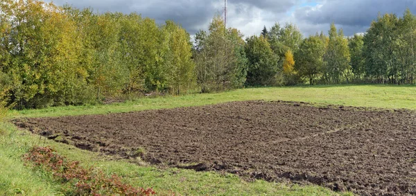 Fragmento de un campo de labradores arados en un prado de otoño de bosque . —  Fotos de Stock