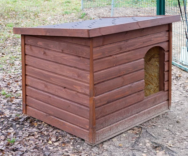 Een nieuwe houten hondenhuis staat in een forest op zandgrond — Stockfoto