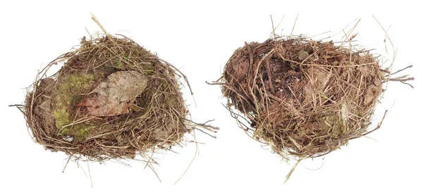 The real nest of a wild forest bird is made of dry grass and mos — Stock Photo, Image