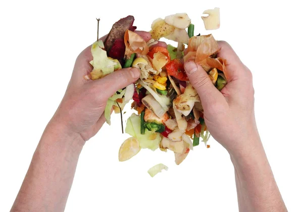 A beggar homeless man digging in a pile of food waste in a dump — Stock Photo, Image