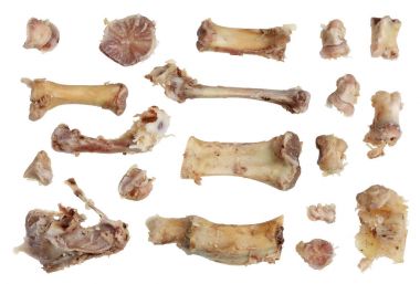 Şişman sarı suyu izole tavuk ve domuz kemiklerinden ayarla.