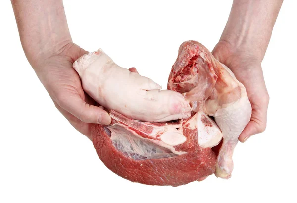 Metzger hält Stück frisches rohes Fleisch in der Hand - Huhn, — Stockfoto