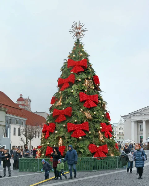 市庁舎広場のクリスマス ツリーが赤いリボンで飾られています。 — ストック写真
