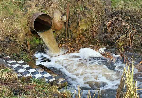 Águas residuais sujas fundem-se num fluxo florestal limpo — Fotografia de Stock