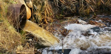 Kirli atık su temiz orman akımına birleştirir