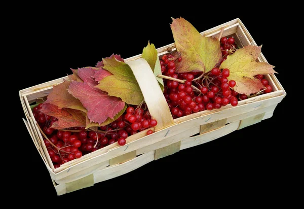 Oktober rote Waldbeeren und Blätter liegen in einfachen ländlichen — Stockfoto