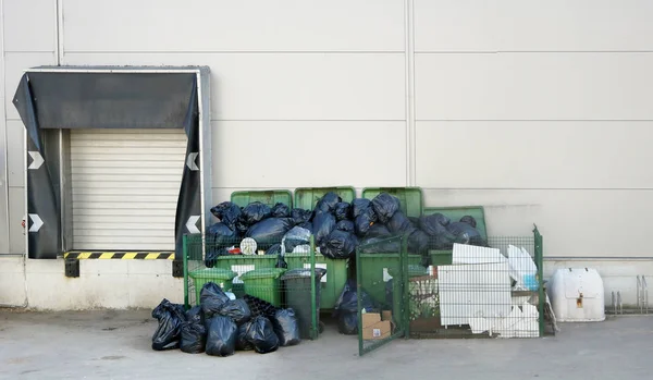 Poubelles vertes avec sacs en plastique noir près du mélèze — Photo