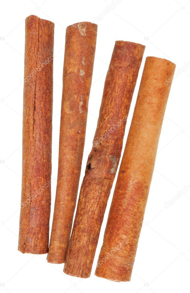 The correct real texture of dried cinnamon bark sticks.