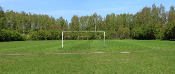 Panorama del césped de fútbol de primavera recién cortado con compuerta de —  Fotos de Stock