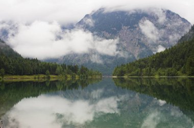 Soğuk bir göl ve ladin ormanlarında sisli bir sabah