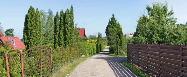 Перспективный вид на дорогу и зеленые изгороди в стандартном пуховике — стоковое фото