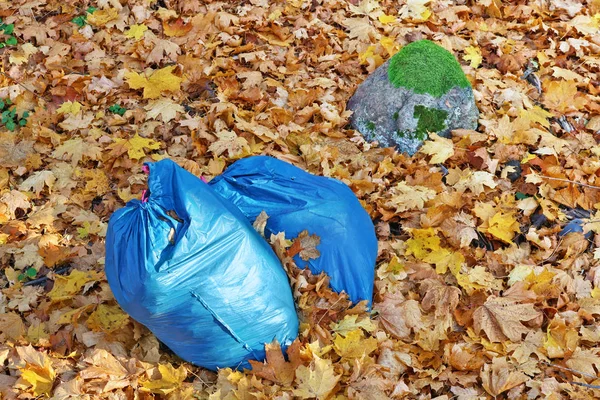 Голубые пластиковые пакеты для мусора, оставленные в осеннем золотом кленовом лесу — стоковое фото