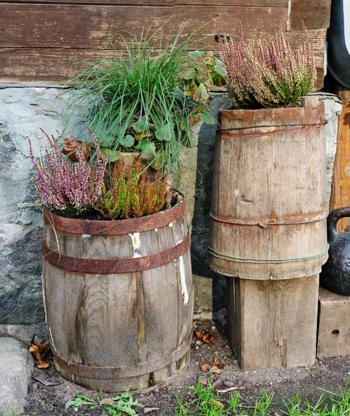 Há decorações ao lado do celeiro da aldeia - velhos barris sagacidade — Fotografia de Stock