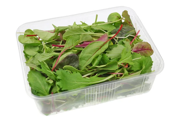 Liście świeżej zielonej i czerwonej sałatki i rukoli do warzyw m — Zdjęcie stockowe