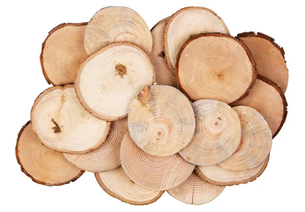 Round cuts of saw cuts of various species of wood - birch, apple — Stock Photo, Image