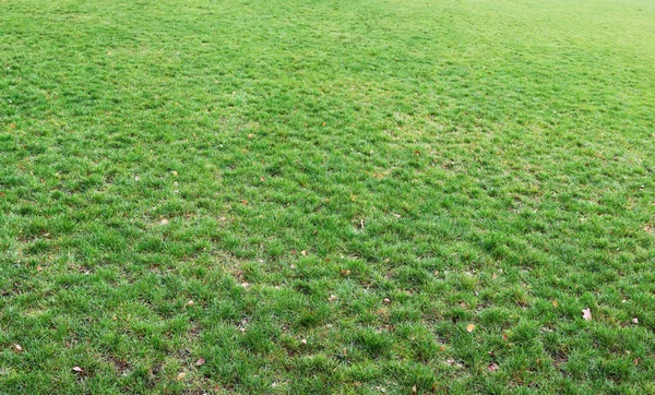Zelená tráva na venkovské vesnici fotbalové hřiště panorama — Stock fotografie