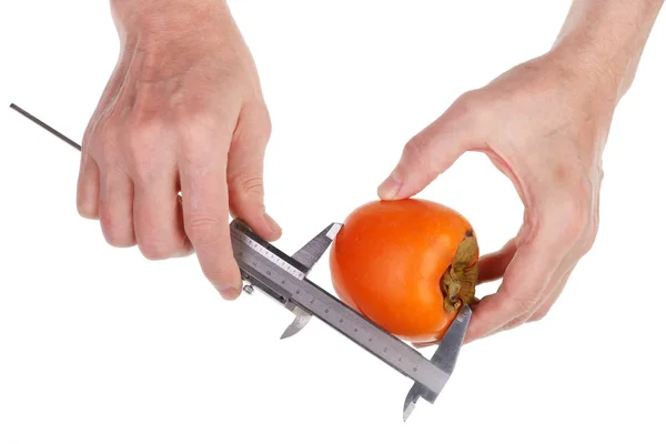 Farmer checks the size and quality of ripe red persimmon  fruit — 스톡 사진