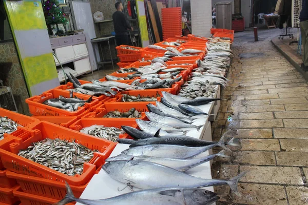 Haifa Israele Dicembre 2019 Pesce Mediterraneo Più Fresco Delizioso Venduto — Foto Stock