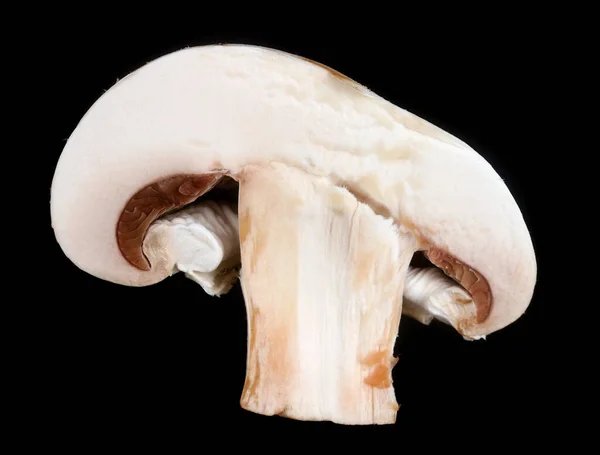 Fresh Champignon Mushroom Half Slice Isolated Black Studio Macro — Stock Photo, Image