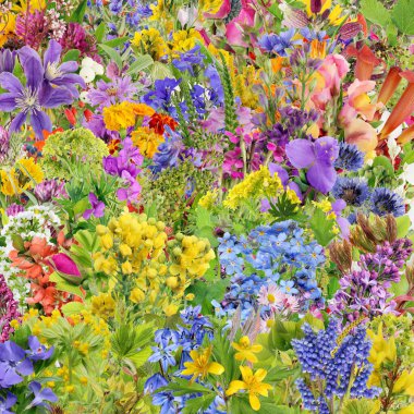 Bahar ve yaz çiçeklerinden ve bitkilerden kalma kare çiçekli arka plan izole kolaj