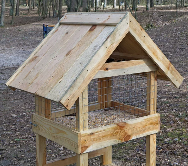 Hausgemachte Feder Großen Neuen Hölzernen Vogelfutterhäuschen Frühlingswald Montiert Handgemachtes Naturobjekt — Stockfoto