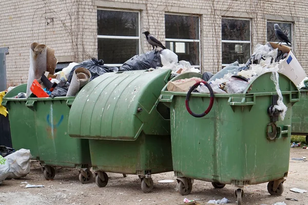 Garbage Overflowing Containers Pandemic Quarantined European City Only Crows Find — Stock Photo, Image