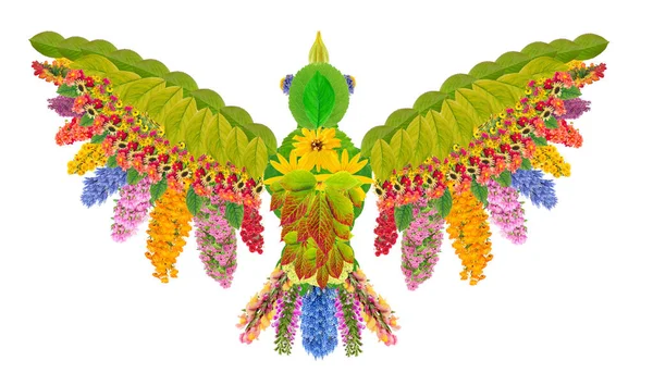 Bird Paradise Made Summer Flowers Plants Handmade Photo Isolated Collage — Stock Photo, Image