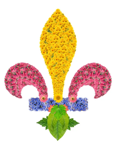 Symbole Fleur Lis Est Apparu Sur Innombrables Armoiries Drapeaux Européens — Photo