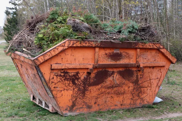 Old Red Rusty Container Branches Leaves Garbage Spring Forest — Stock Photo, Image