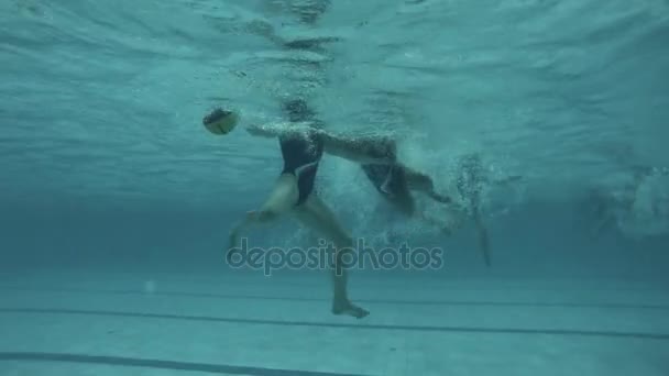 Saint Petersburg Russia January 22 16 Water Polo Female Players In Blue Swimsuits Struggling For Ball Underwater Video By C Juliastock Stock Footage